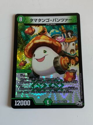 タマタンゴ・パンツァー VR 7/61