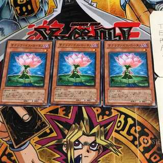 Samsara Lotus 4 Normal Set of 3 Tera