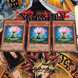 Samsara Lotus 5 Normal Set of 3 Tera