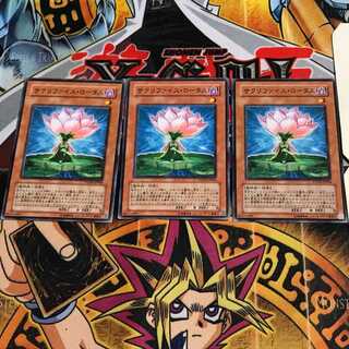 Samsara Lotus 6 Normal Set of 3 Tera