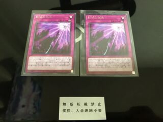 影依の偽典 シャドールーク ２枚 セット