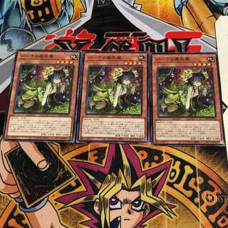 ジーナの蟲惑魔 7 ノーマル 3枚セット てら