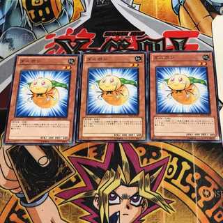 ダニポン 2 ノーマル 3枚セット てら