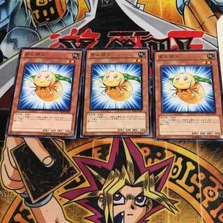 ダニポン 3 ノーマル 3枚セット てら