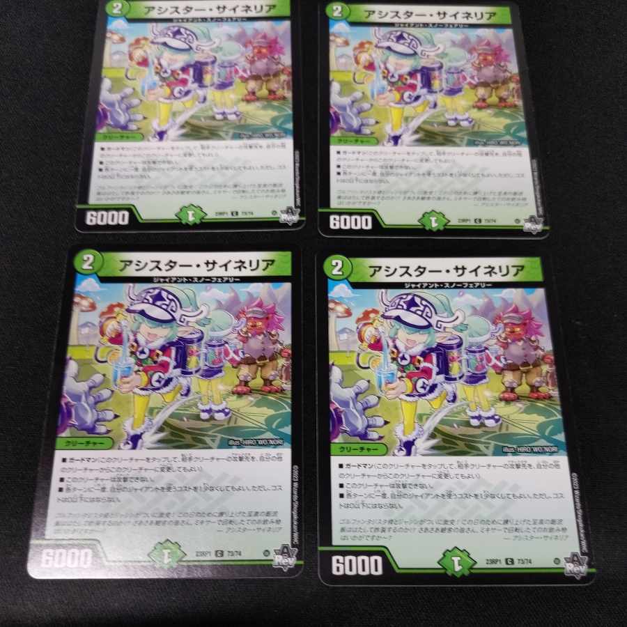 アシスター・サイネリア C 73/74