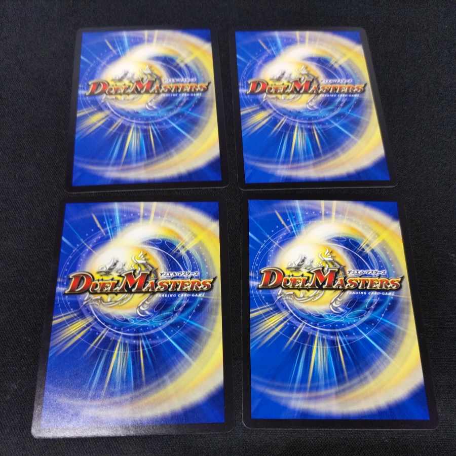 アシスター・サイネリア C 73/74