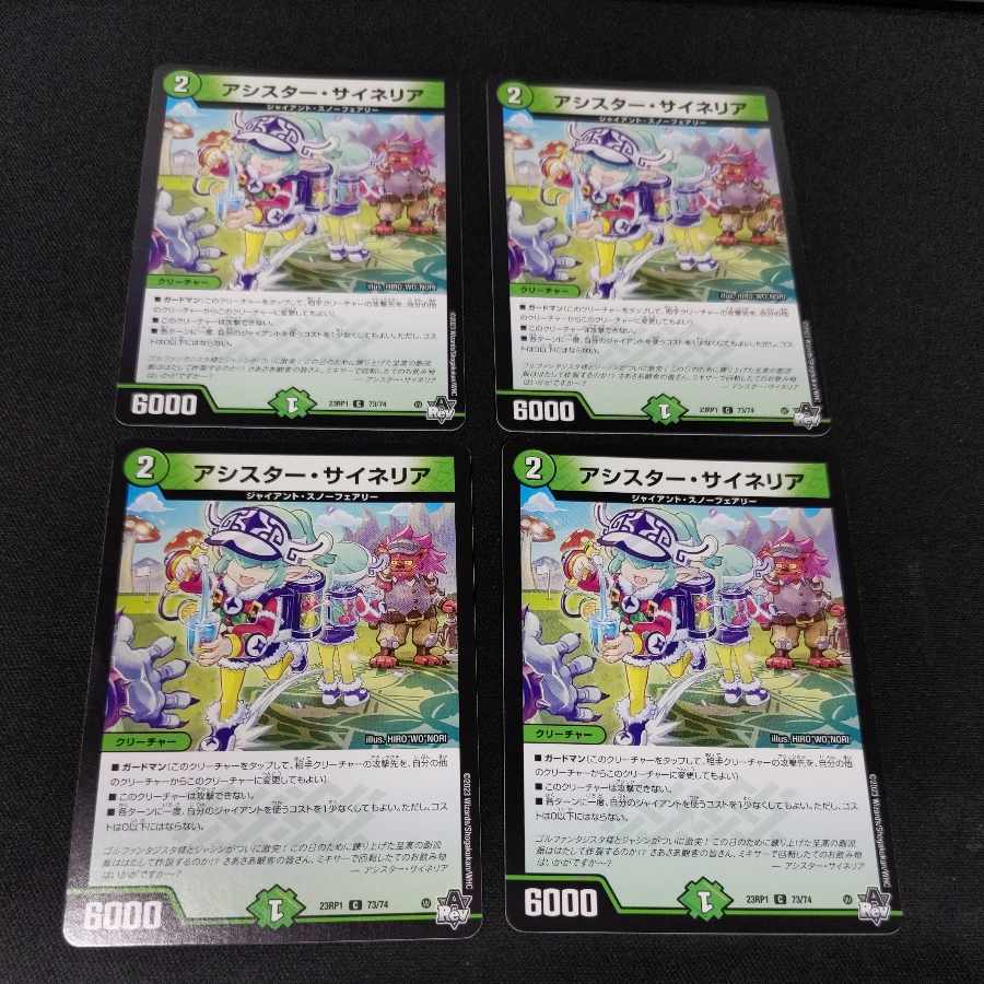 Assister Sineria C 73/74