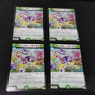 アシスター・サイネリア C 73/74