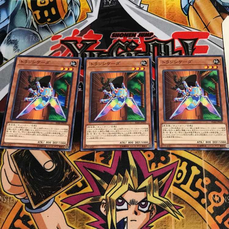 トランシケーダ 3 ノーマル 3枚セット てら