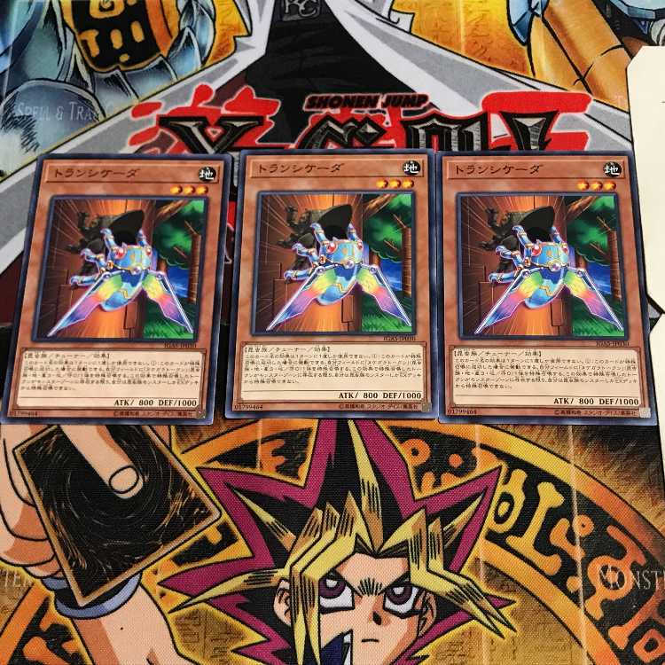 トランシケーダ 4 ノーマル 3枚セット てら