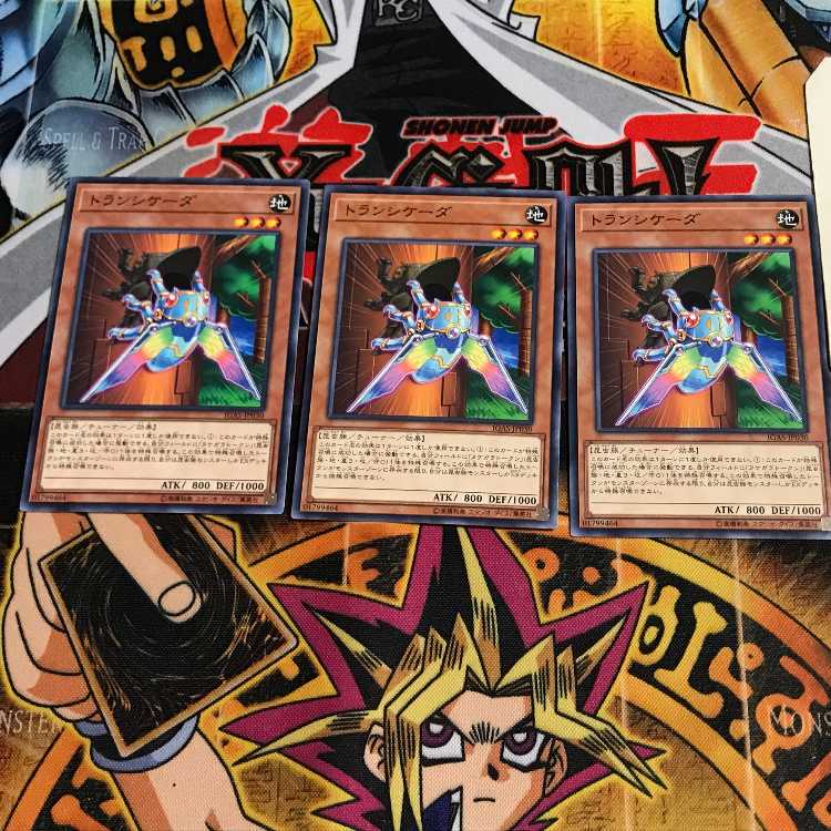 トランシケーダ 6 ノーマル 3枚セット てら