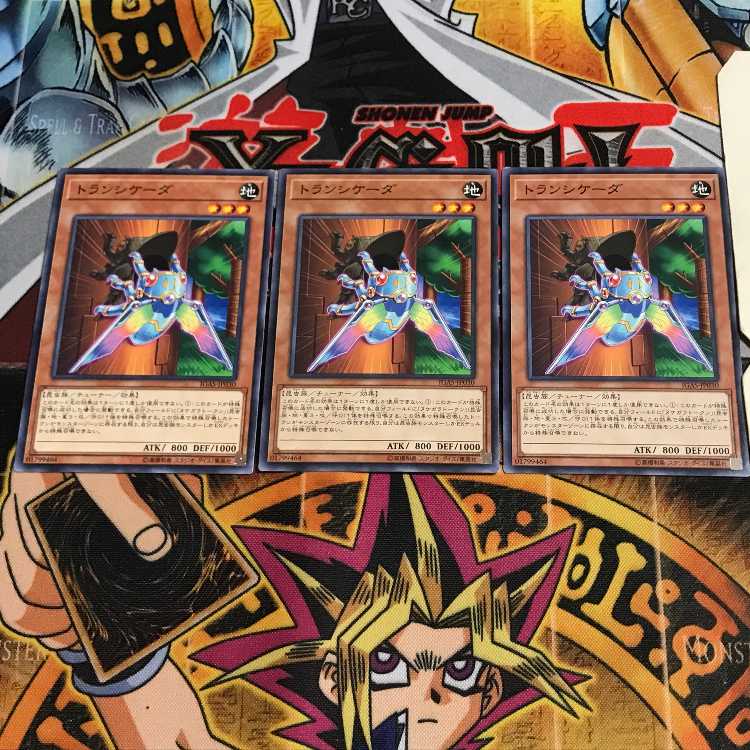 トランシケーダ 8 ノーマル 3枚セット てら