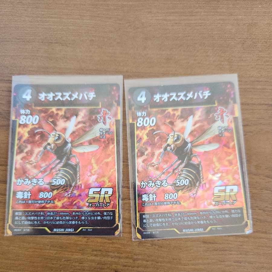 SR オオスズメバチ