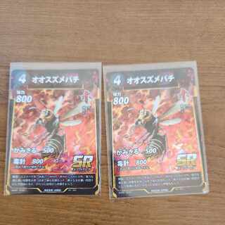 SR オオスズメバチ