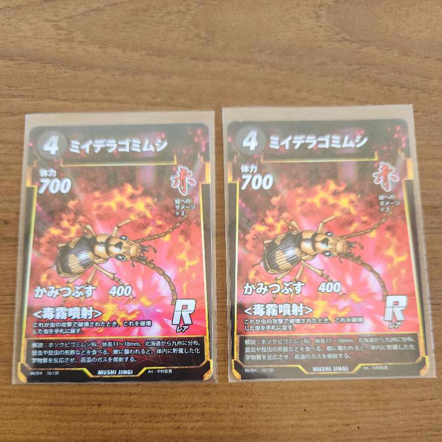 R ミイデラゴミムシ