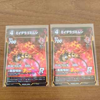 R ミイデラゴミムシ