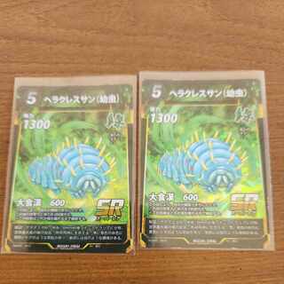 SR ヘラクレスサン(幼虫)