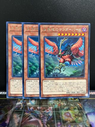 Yu-Gi-Oh Studio 5467 Danger! Thunderbird! Rare JP025