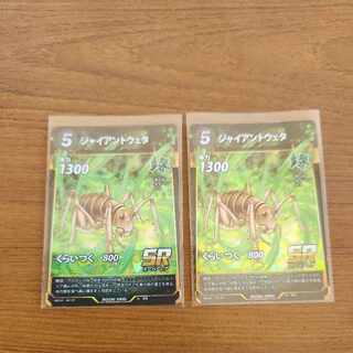 SR ジャイアントウェタ