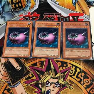 ニードルワーム 7 ノーマル 3枚セット てら