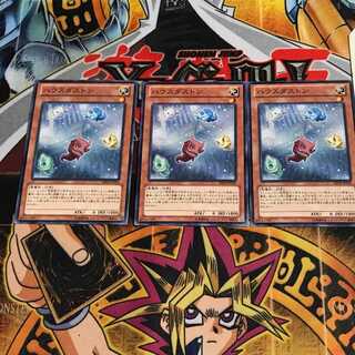 ハウスダストン 1 ノーマル 3枚セット てら