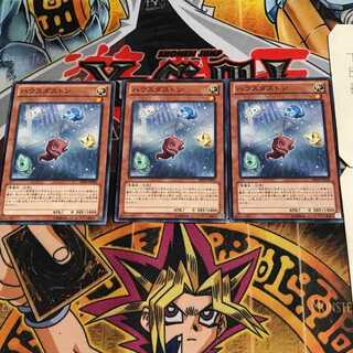 ハウスダストン 5 ノーマル 3枚セット てら