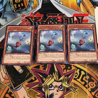 ハウスダストン 6 ノーマル 3枚セット てら