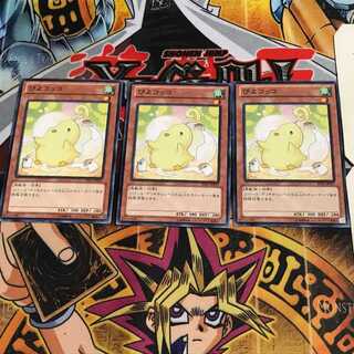 ぴよコッコ 9 ノーマル 3枚セット てら