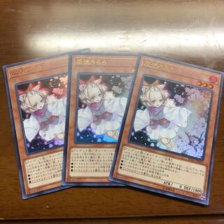 灰流うらら3枚セット