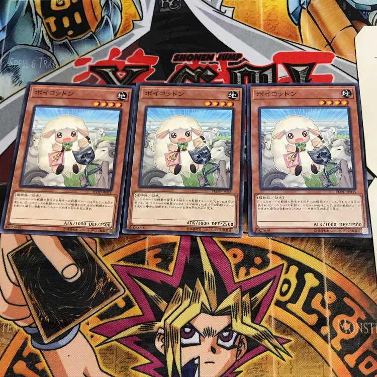 ボイコットン 3 ノーマル 3枚セット てら