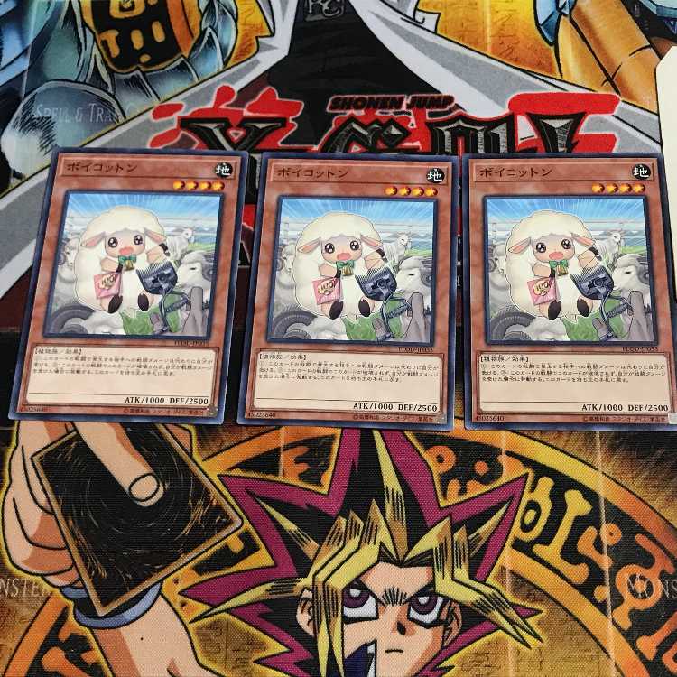 ボイコットン 4 ノーマル 3枚セット てら