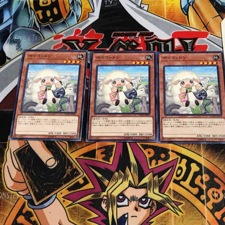 Boycotton 6 normal, set of 3 tera