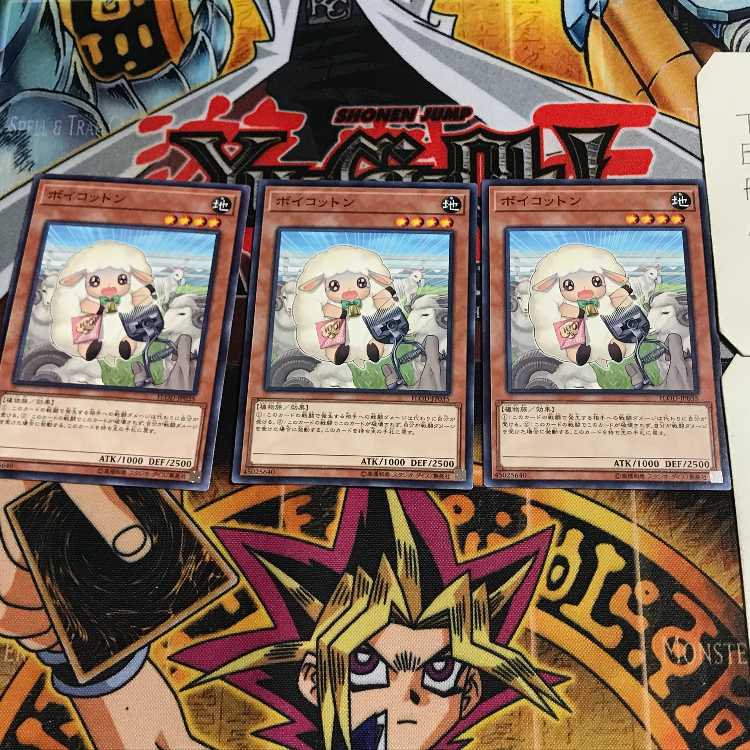 ボイコットン 8 ノーマル 3枚セット てら