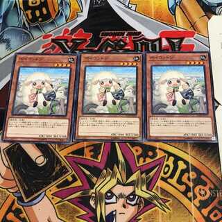 ボイコットン 9 ノーマル 3枚セット てら