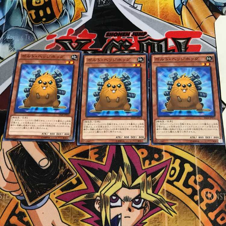 Quillbolt Hedgehog 6 Normal, set of 3 Tera