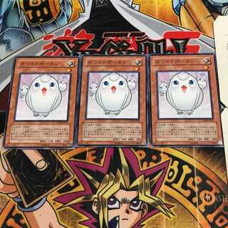 ホワイトポータン 1 ノーマル 3枚セット てら