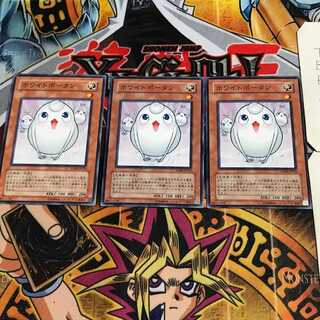 ホワイトポータン 2 ノーマル 3枚セット てら