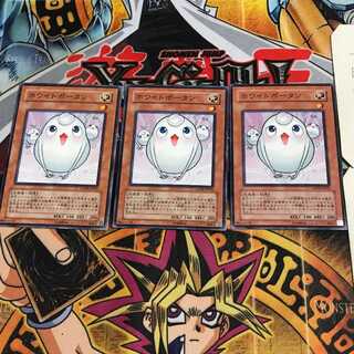 ホワイトポータン 6 ノーマル 3枚セット てら