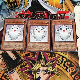 ホワイトポータン 10 ノーマル 3枚セット てら