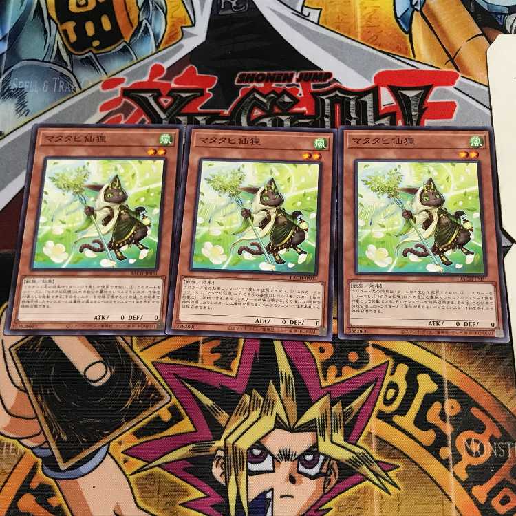 マタタビ仙狸 1 ノーマル 3枚セット てら