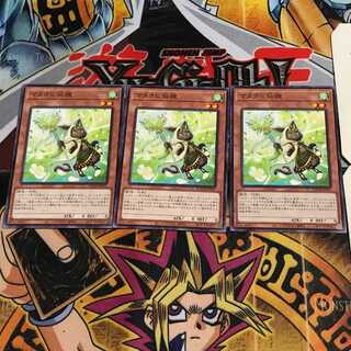 マタタビ仙狸 1 ノーマル 3枚セット てら