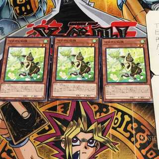 マタタビ仙狸 3 ノーマル 3枚セット てら