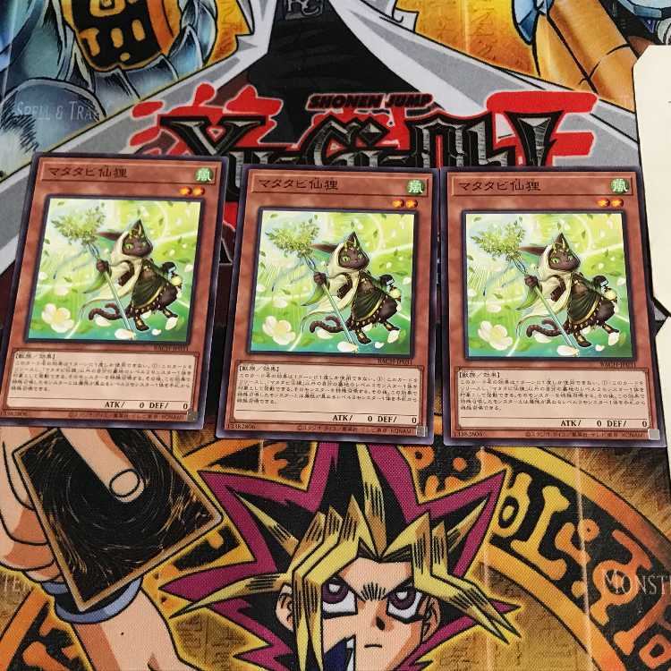 マタタビ仙狸 4 ノーマル 3枚セット てら