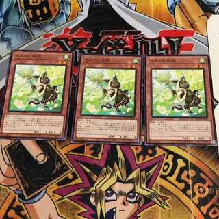 マタタビ仙狸 4 ノーマル 3枚セット てら