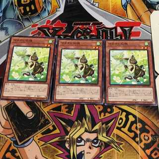 マタタビ仙狸 7 ノーマル 3枚セット てら