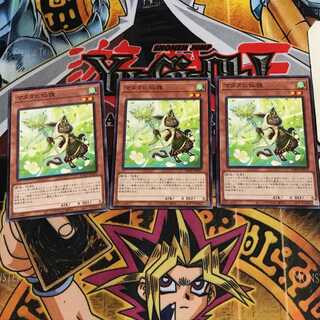 マタタビ仙狸 8 ノーマル 3枚セット てら