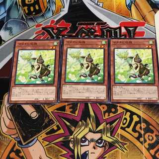 マタタビ仙狸 9 ノーマル 3枚セット てら