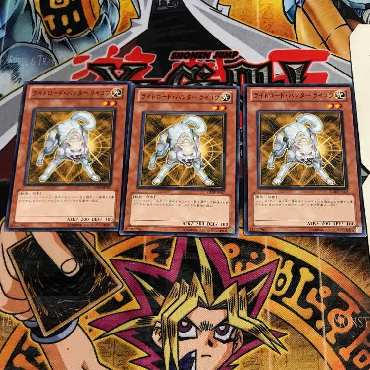 Ryko, Lightsworn Hunter 1 Normal, set of 3 Tera