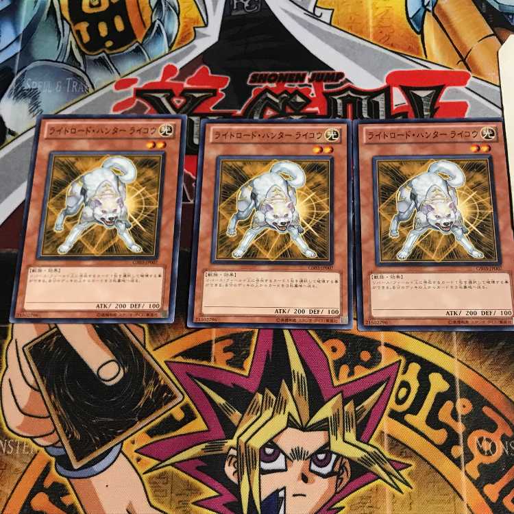 Ryko, Lightsworn Hunter 2 Normal, set of 3 Tera