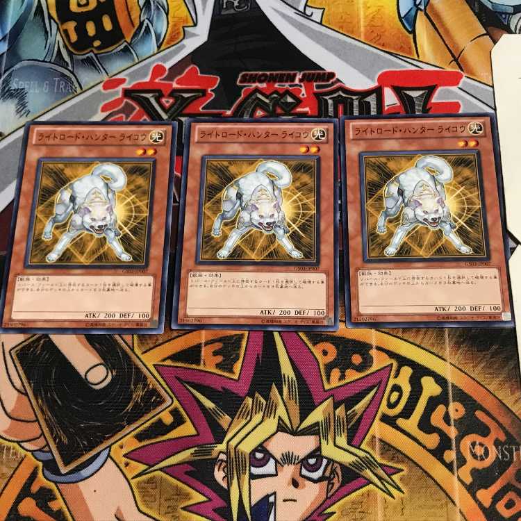 ライトロード・ハンター ライコウ 3 ノーマル 3枚セット てら